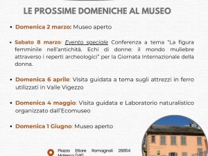 Rassegna “Una domenica al Museo”