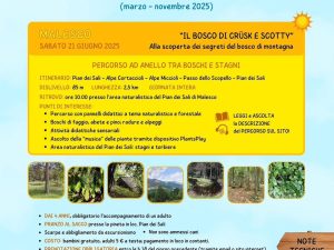 Lettura e natura