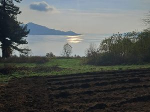 Il progetto “Dal buon grano all’eccellenza dei runditt” approda nelle scuole e sul Lago Maggiore