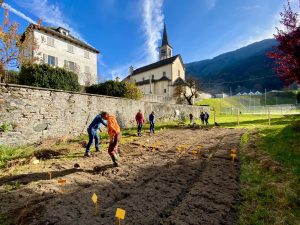 L’andamento del progetto triennale “Dal buon grano all’eccellenza dei runditt”